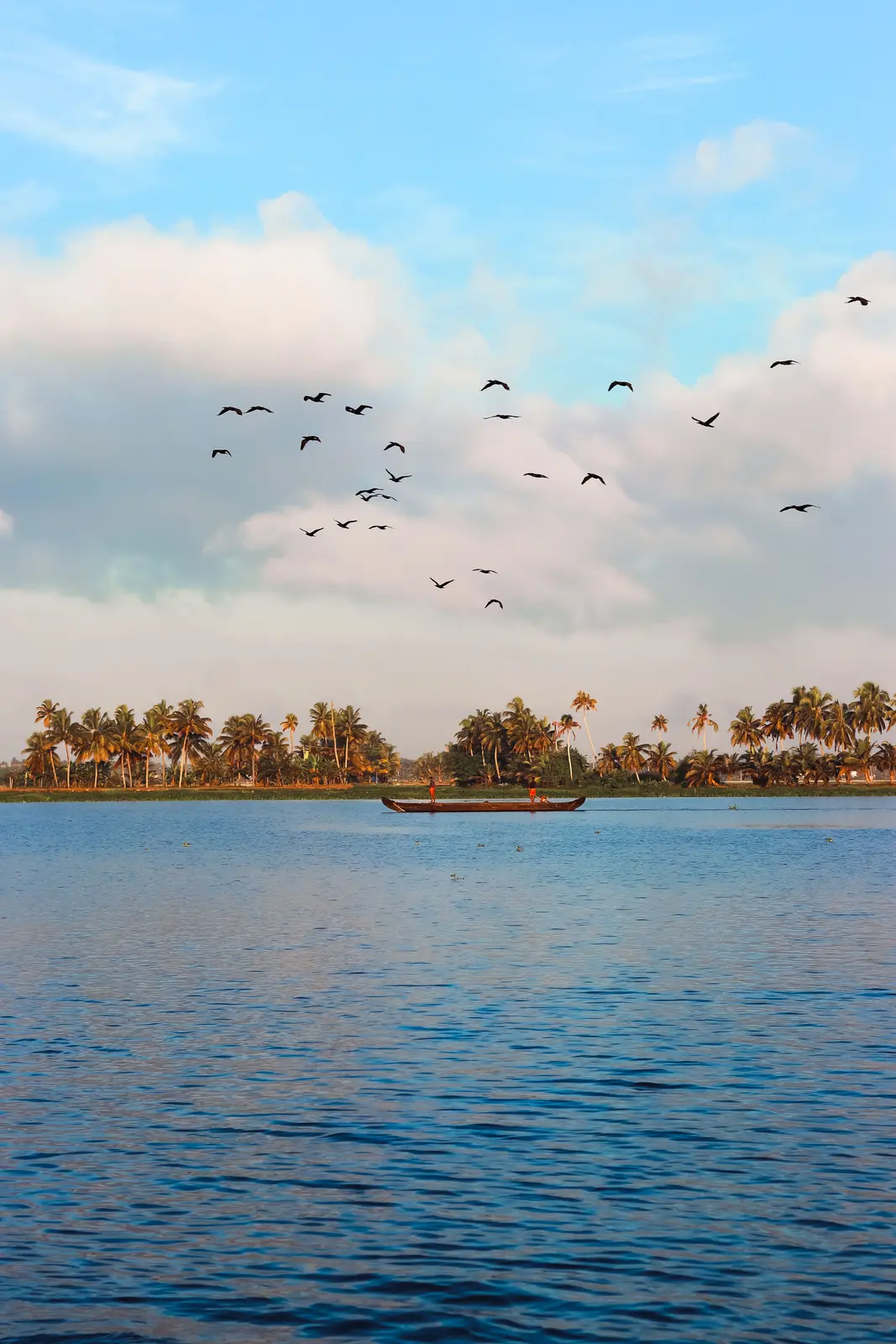 Alleppey backwaters, Kerala